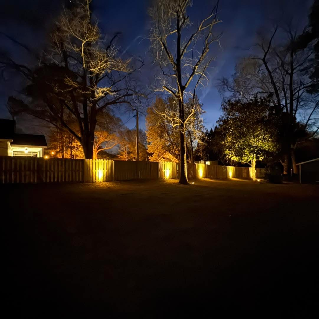 A fence and trees are lit up at night in a yard.