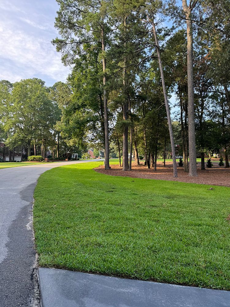 A lush green lawn is surrounded by trees and a road.