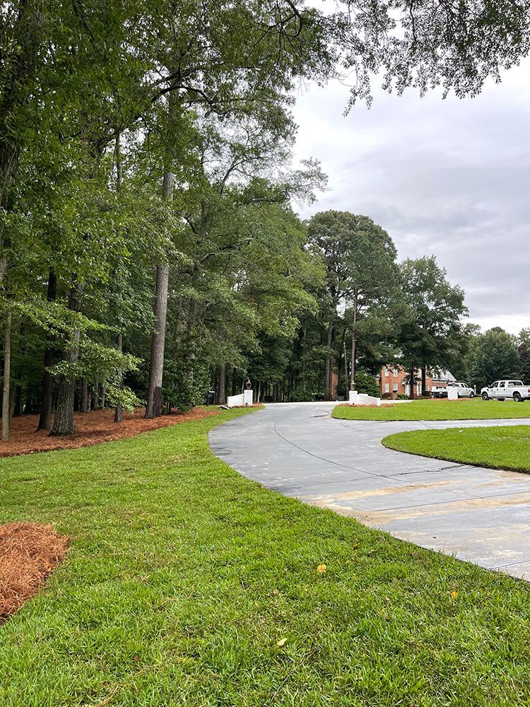 A driveway going through a lush green field with trees on both sides.