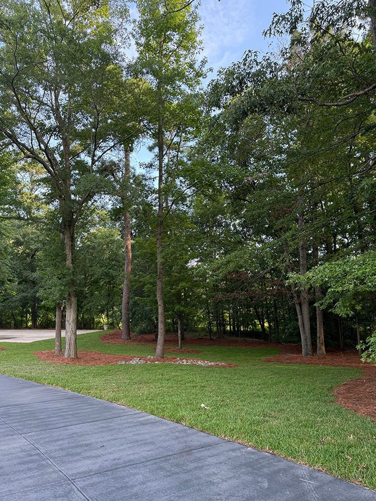 A driveway leading to a lush green field with trees in the background.