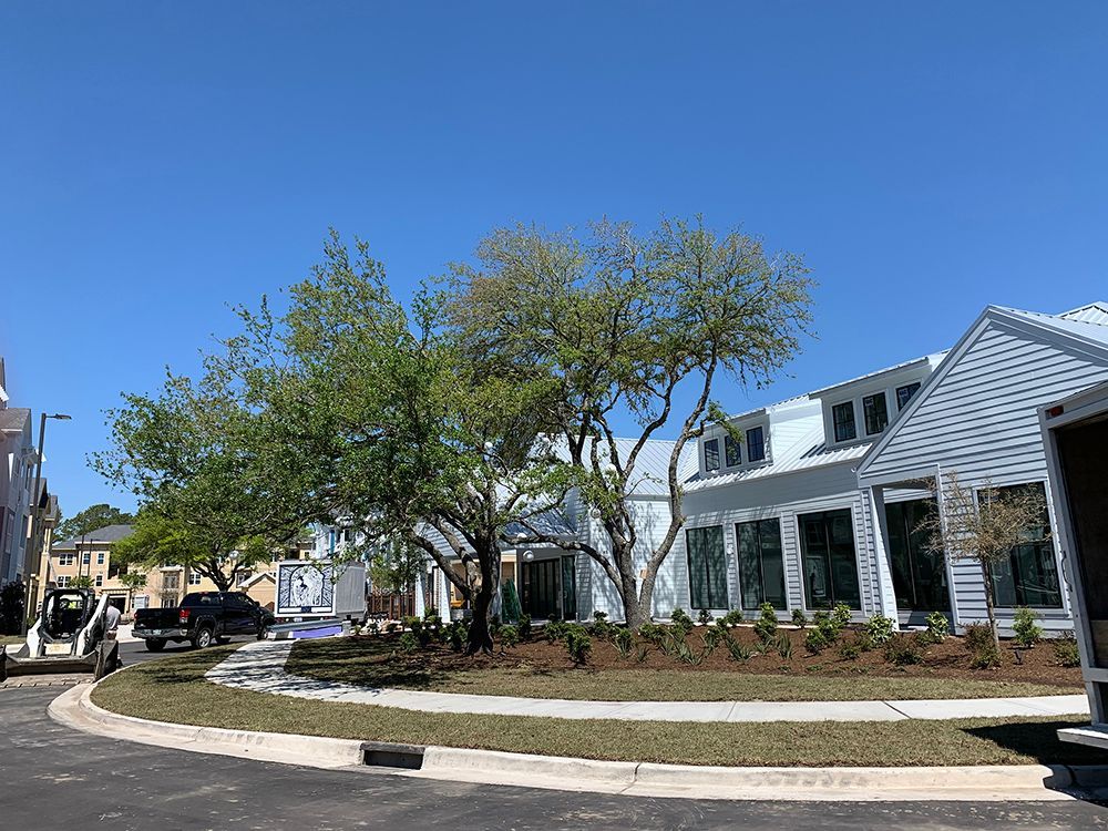 A row of houses with trees in front of them on a sunny day.