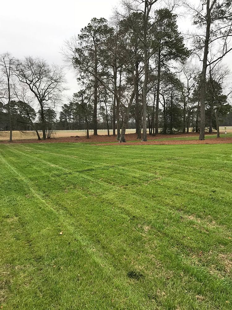 A lush green field surrounded by trees on a cloudy day.