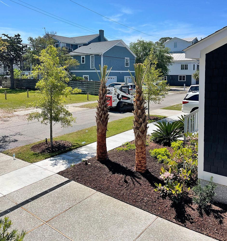 Two palm trees are standing in front of a house