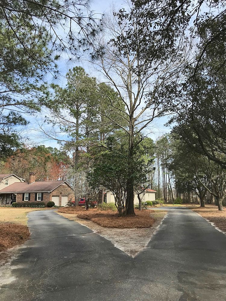 A driveway leading to a house surrounded by trees.