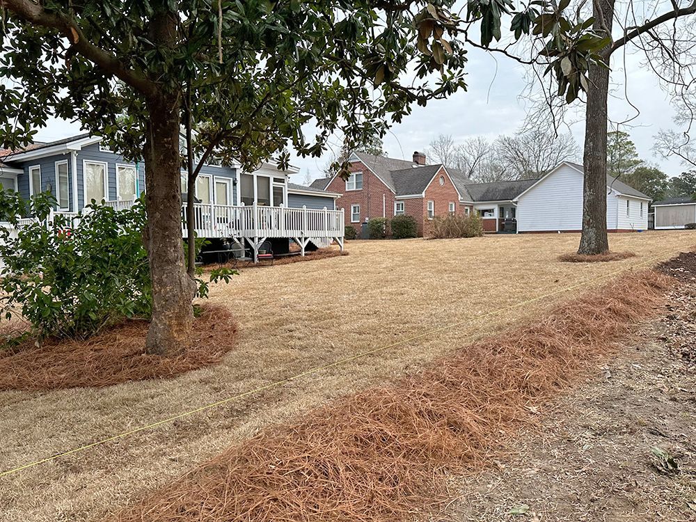 A large yard with a house in the background and a tree in the foreground.