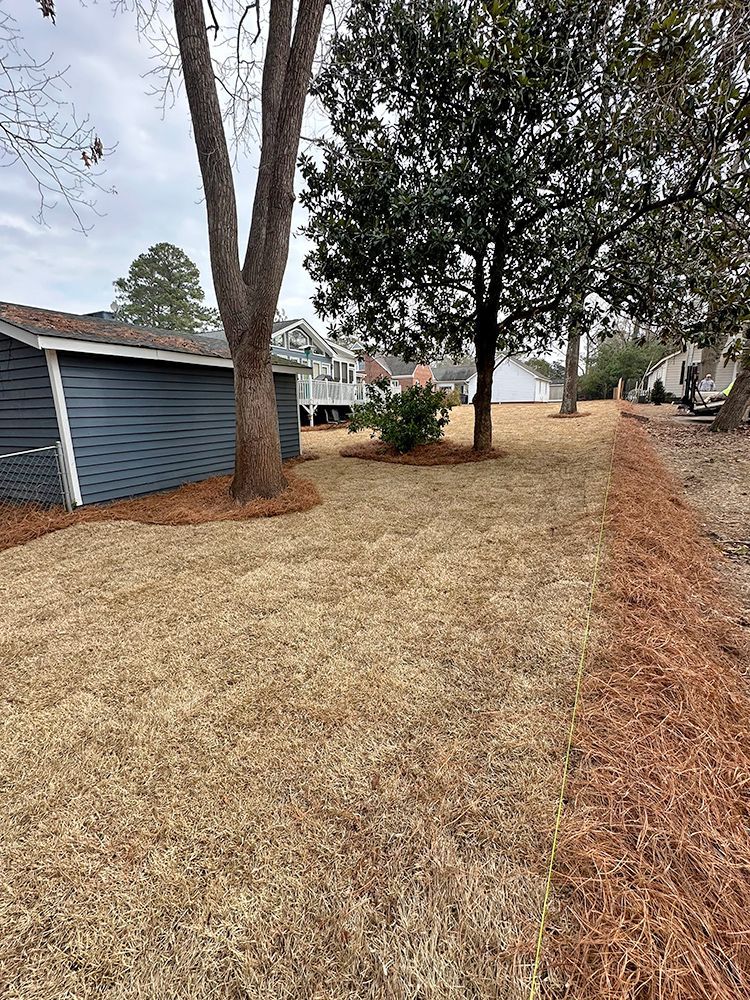 A lush green yard with a shed and trees in the background.