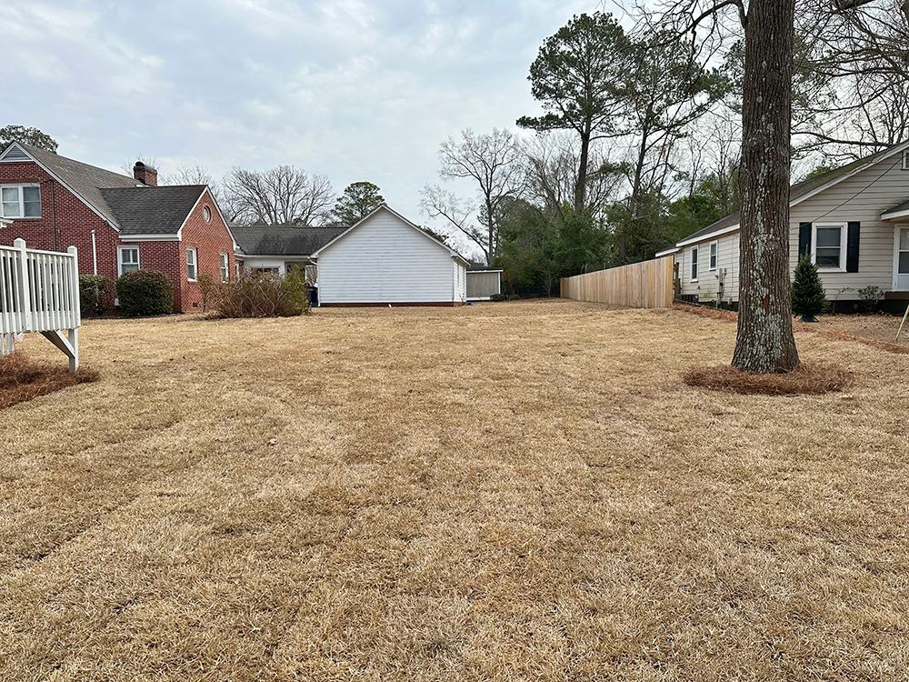 There is a lot of dry grass in the middle of the yard.