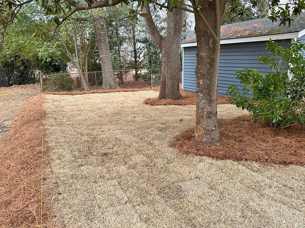 A yard with trees and a garage in the background.