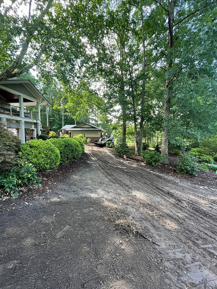 A dirt road leading to a house surrounded by trees.