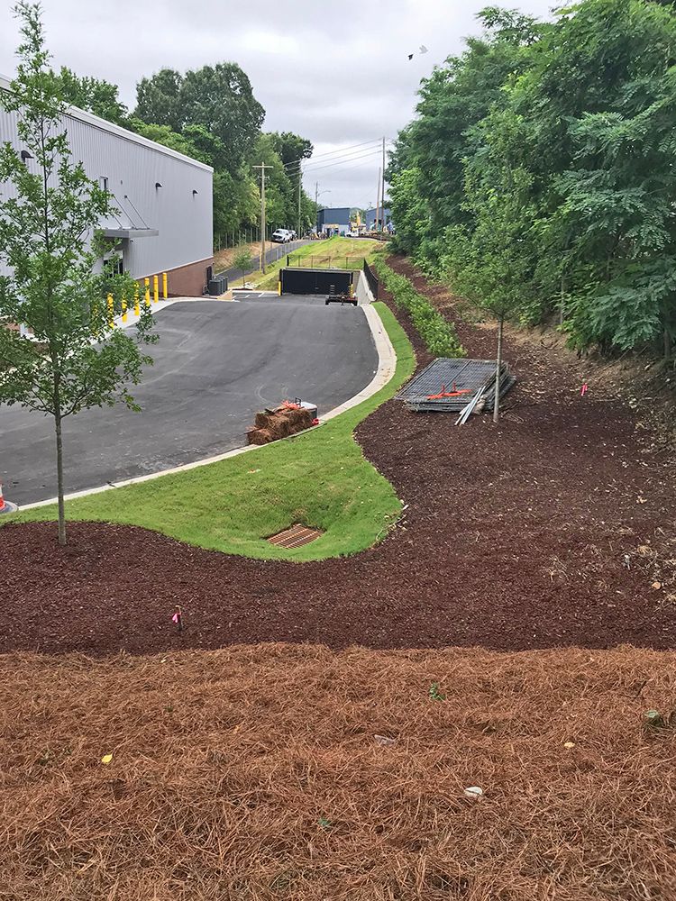 There is a lot of mulch on the ground in front of a building.