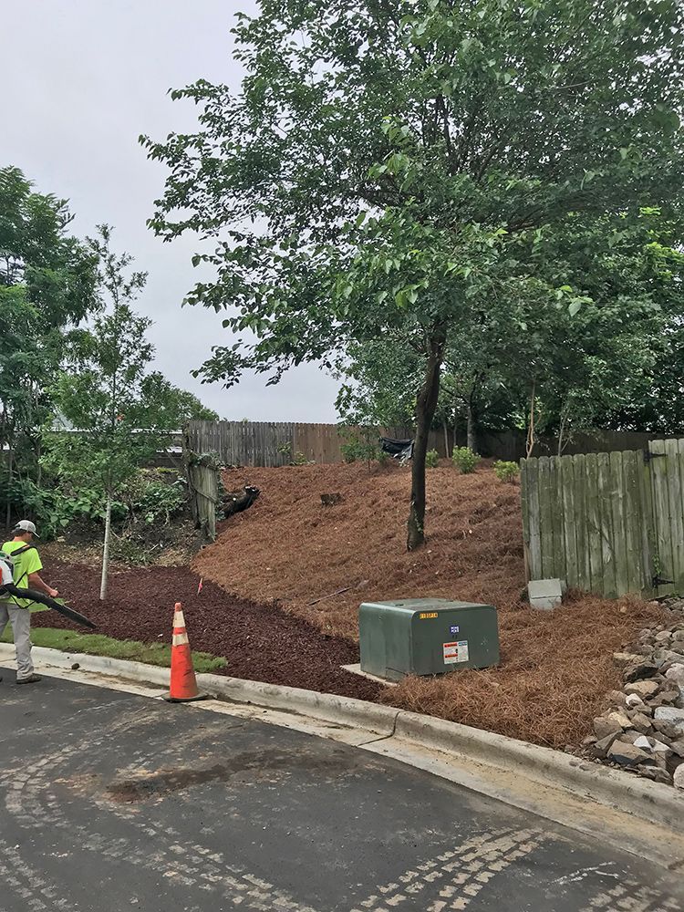 A man is blowing leaves on the side of the road.