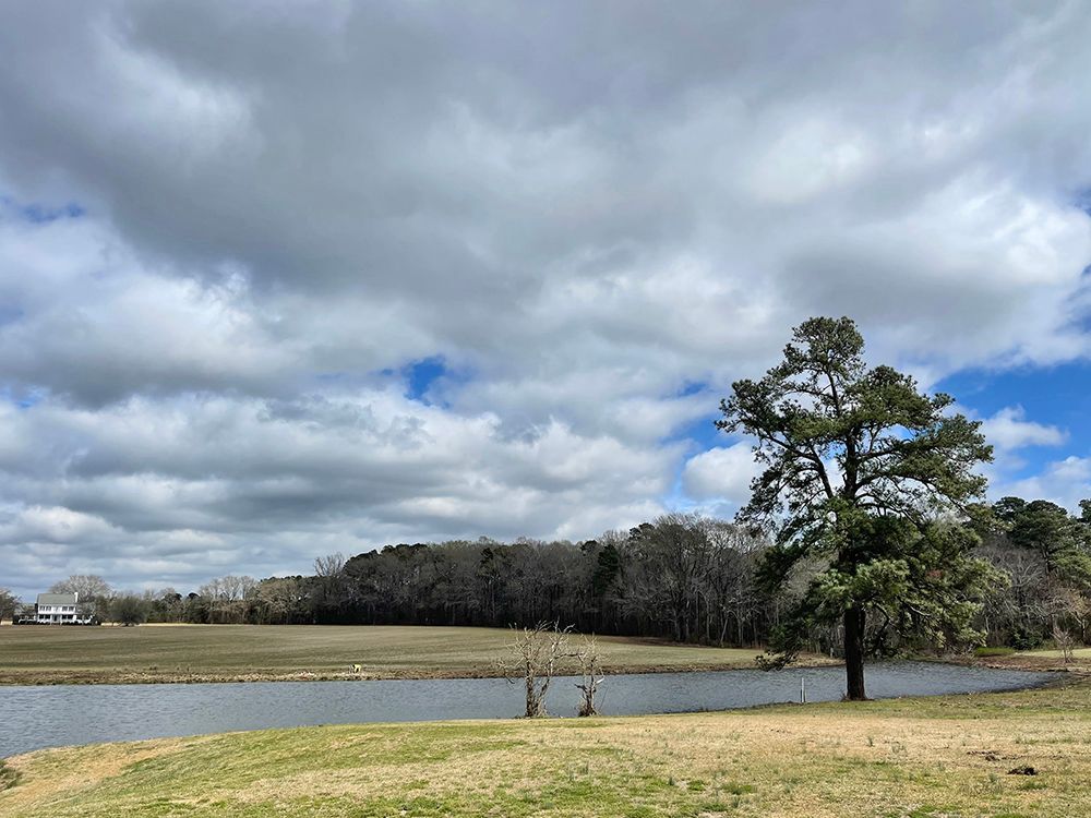 A lake with a tree in the foreground and a cloudy sky in the background.