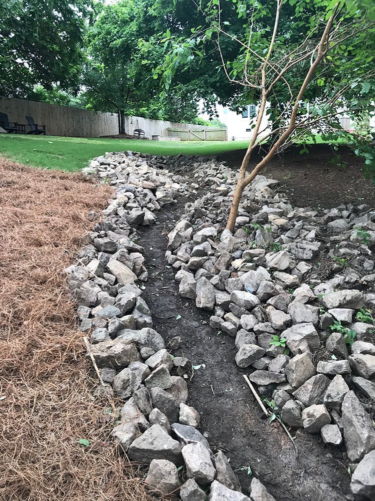 There is a tree in the middle of a rocky area.