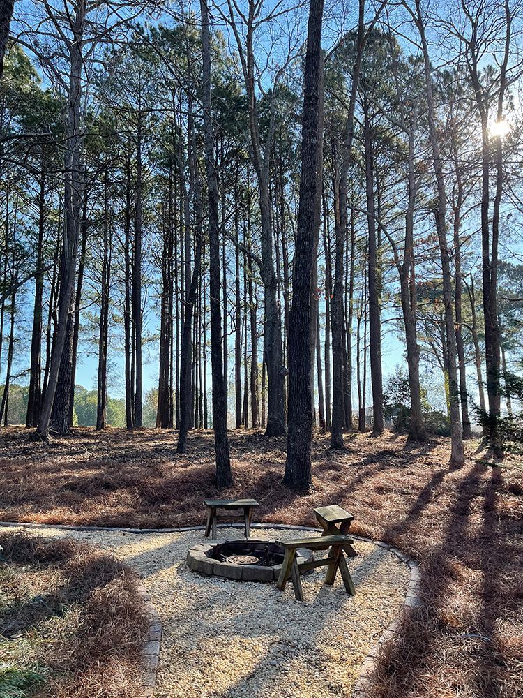 A fire pit in the middle of a forest with a picnic table.