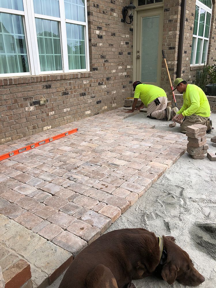 A dog is laying on the ground next to two men laying bricks on a patio.
