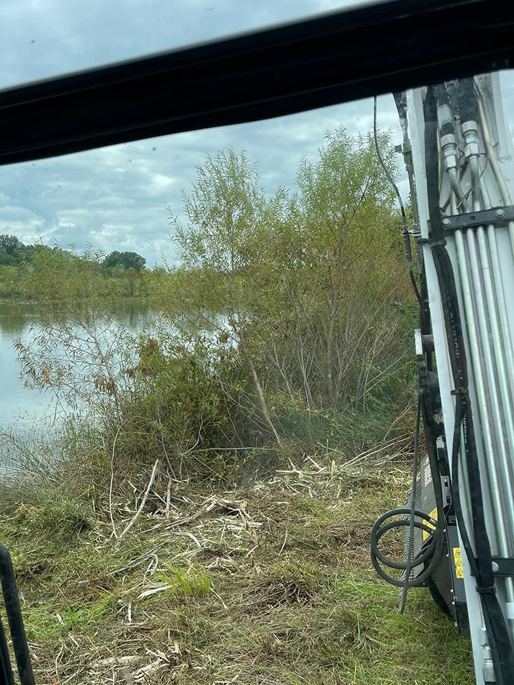 A view of a body of water from inside a vehicle.
