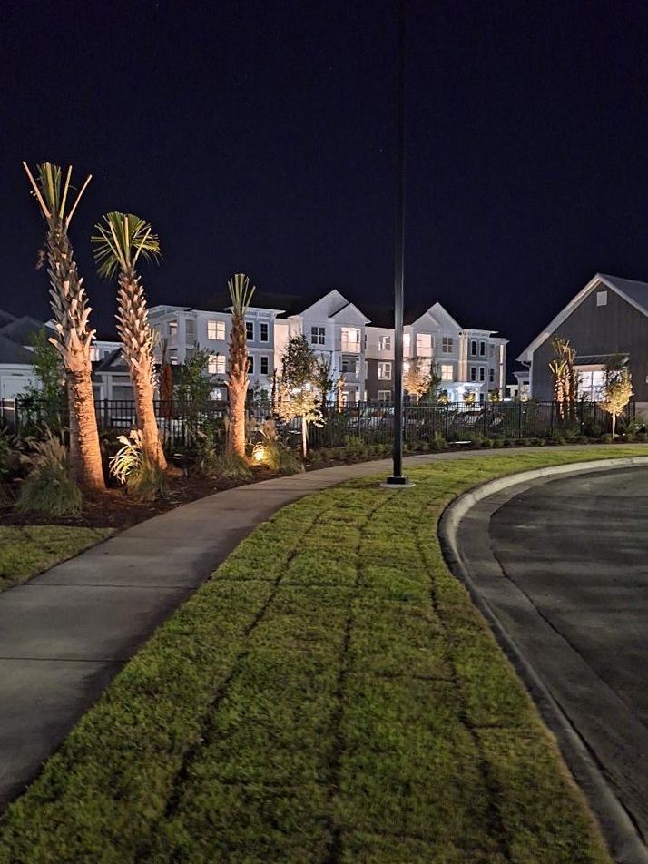A walkway leading to a building at night with palm trees in the foreground.