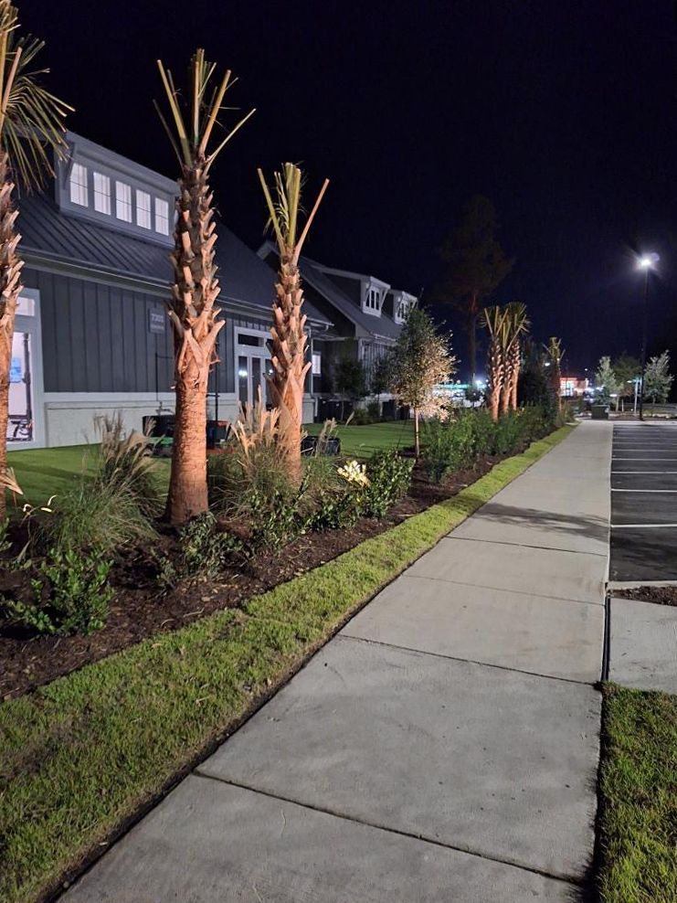 A sidewalk with palm trees and a building in the background at night