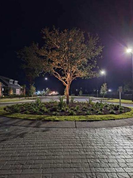 A tree is in the middle of a brick driveway at night.
