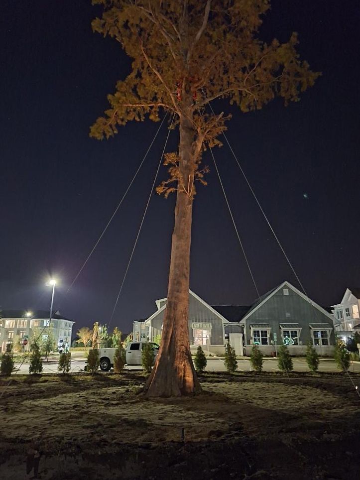 A large tree is lit up at night in front of a house.