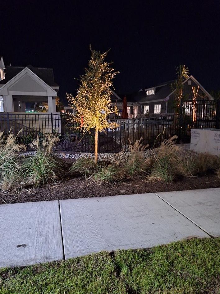 A tree is lit up in front of a house at night.