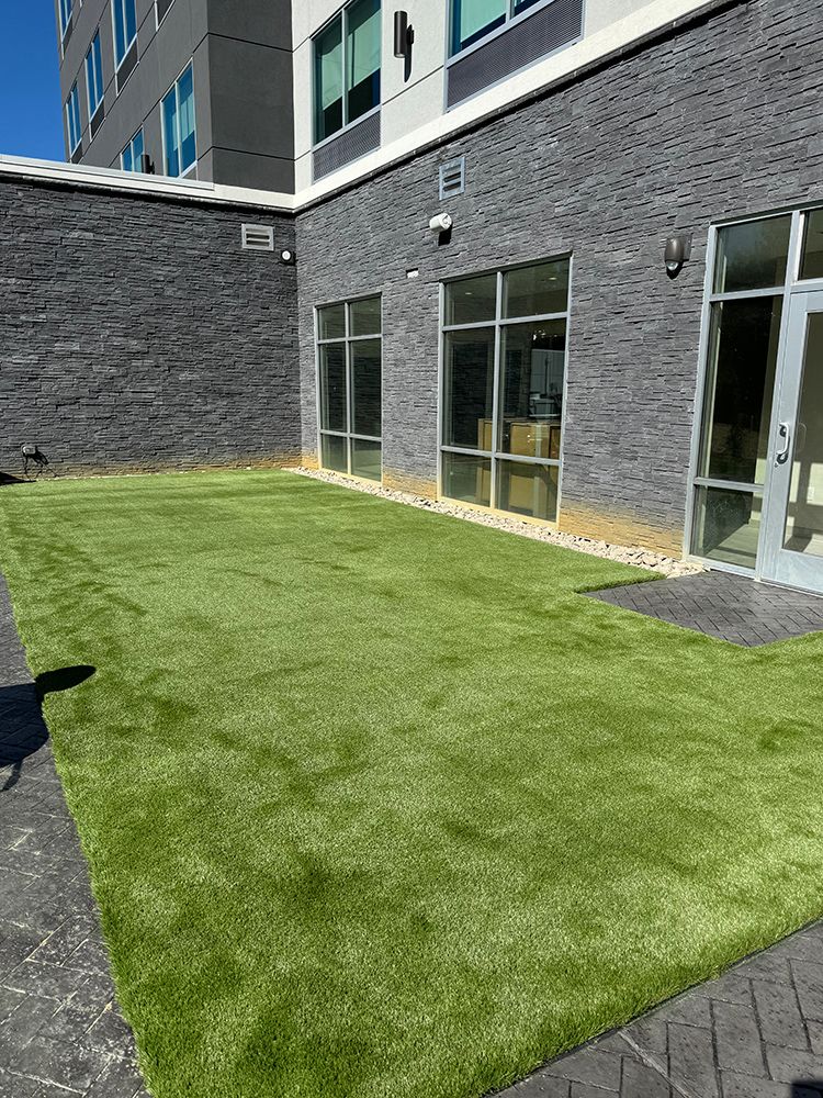 A large lawn in front of a building with a lot of windows.