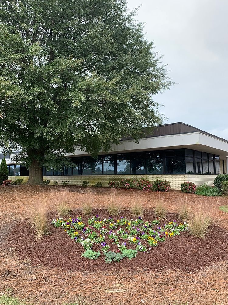 A large building with a tree in front of it and a flower bed in front of it.