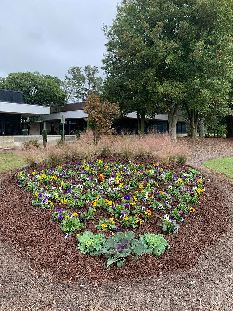 A flower bed with purple and yellow flowers in front of a building.