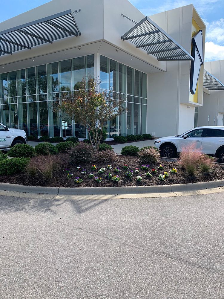 A white building with a lot of windows and cars parked in front of it.