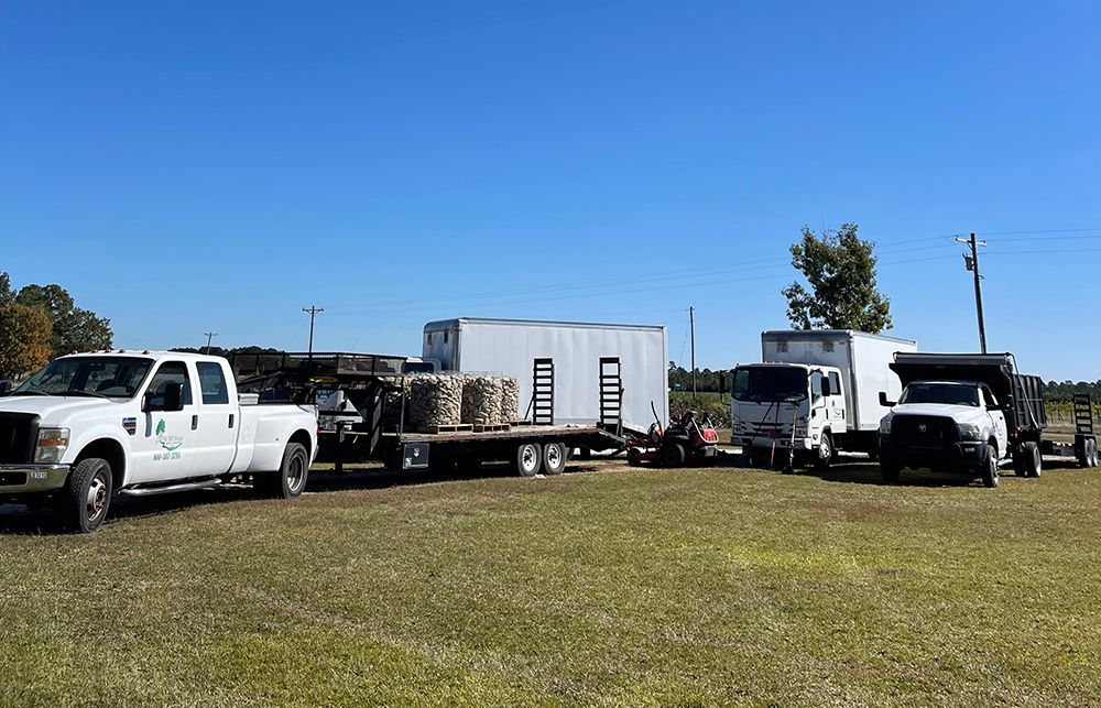 A group of trucks are parked in a grassy field.