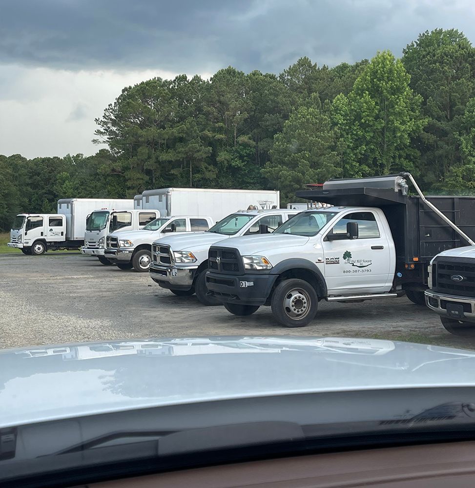 A row of trucks are parked in a parking lot