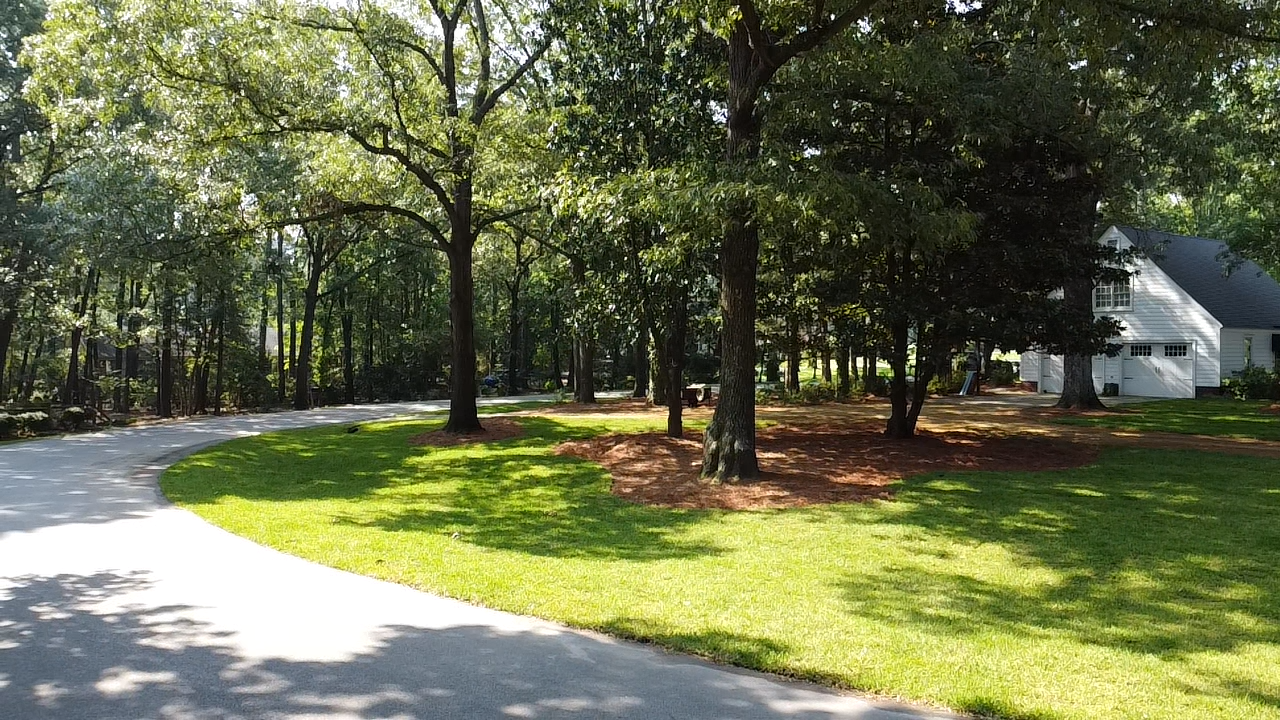 A driveway leading to a house surrounded by trees and grass.