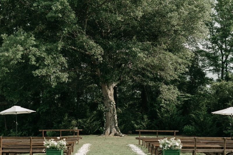 A wedding ceremony is taking place in front of a large tree.