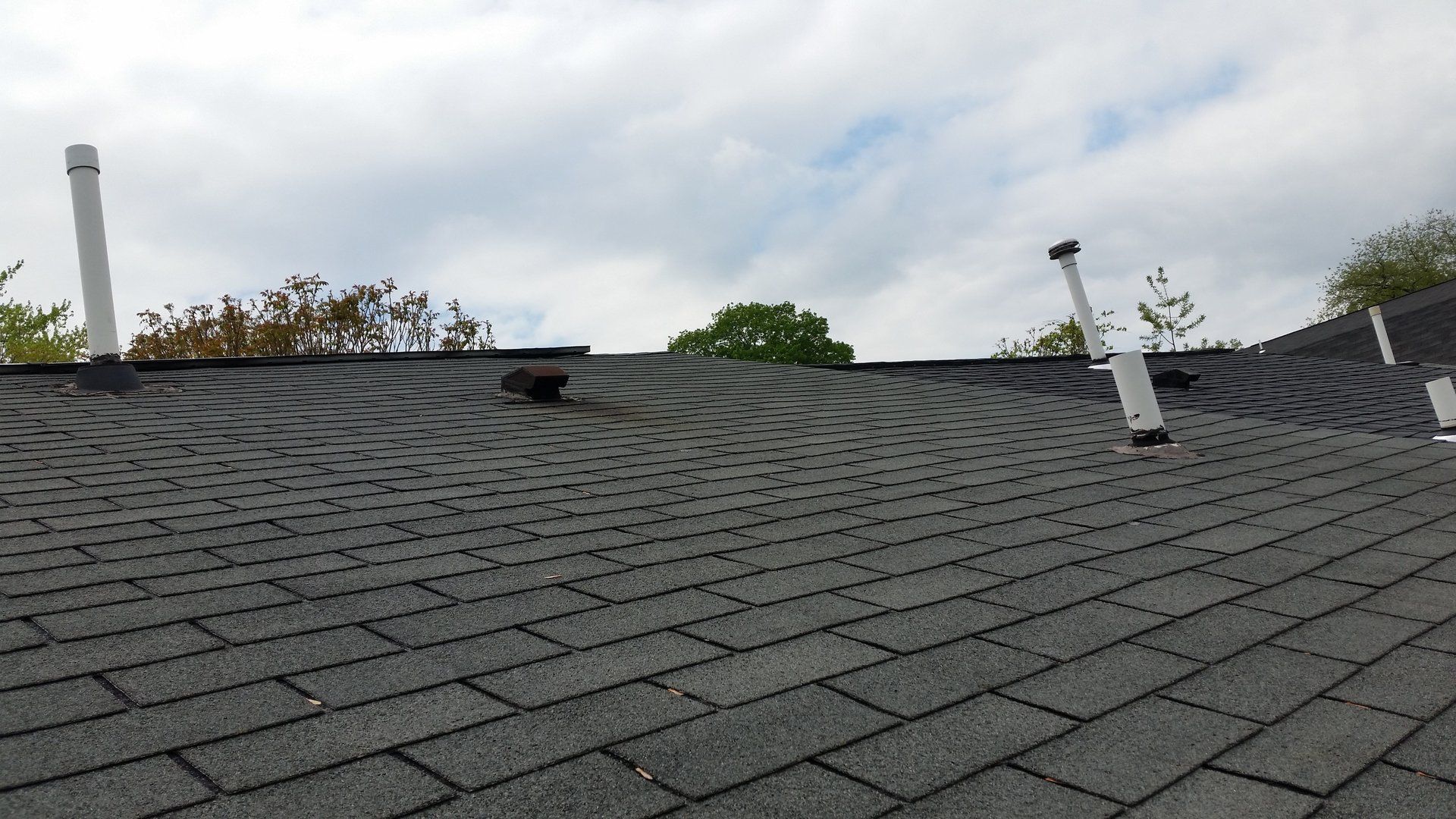 Newly remodeled roof