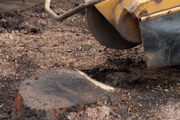Stump Grinding