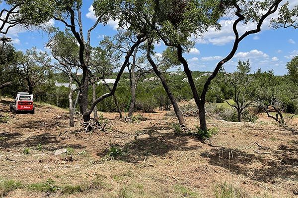 Land Clearing