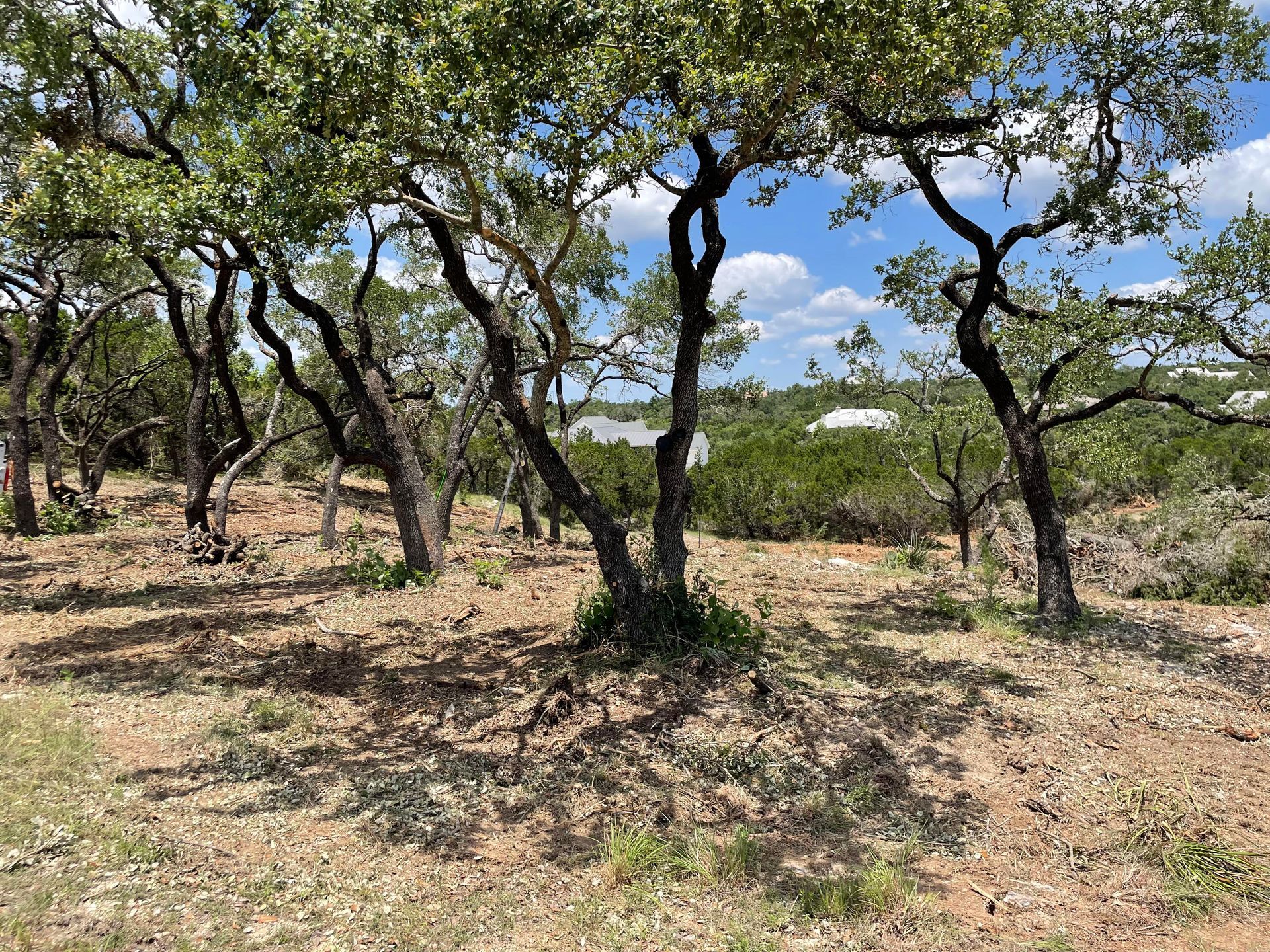 Land Clearing