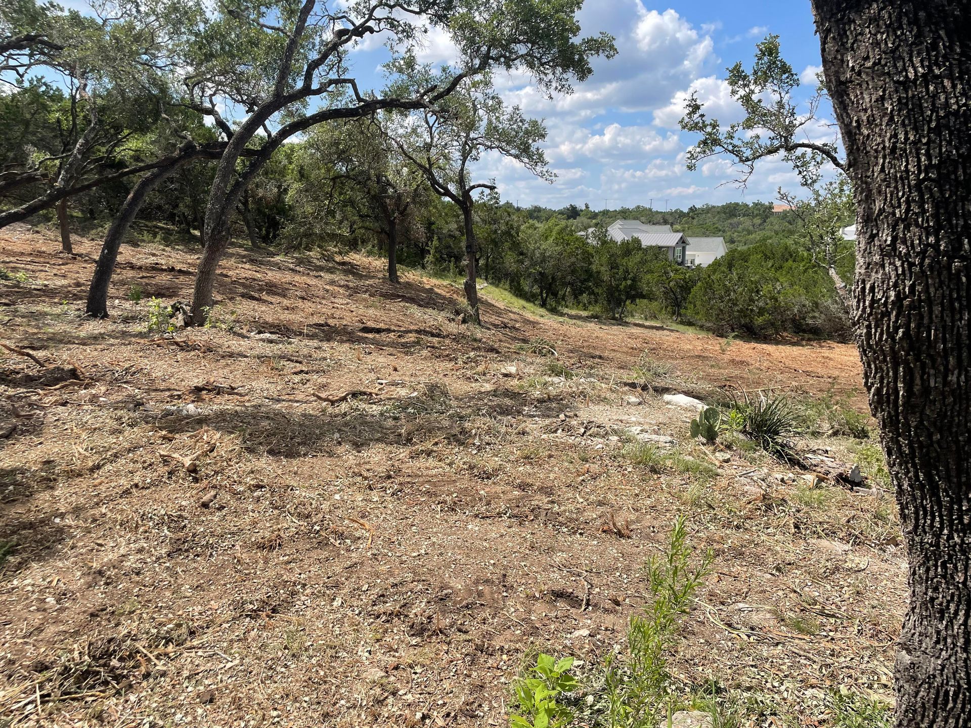 Land Clearing