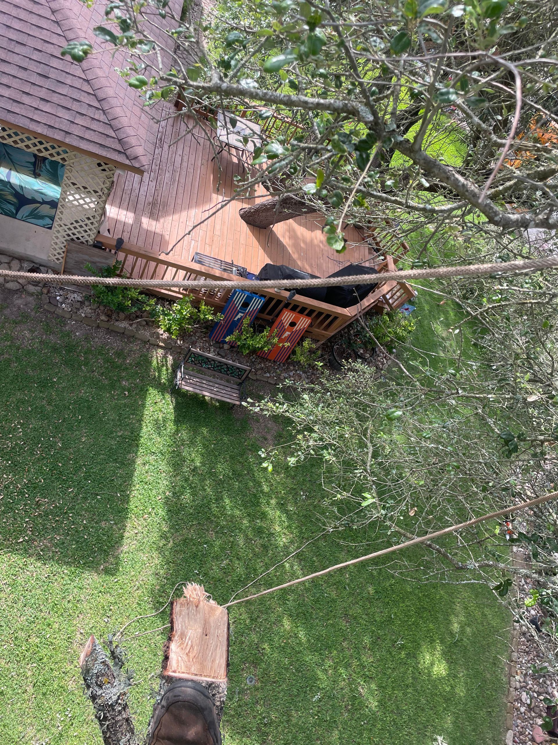 Tree Service