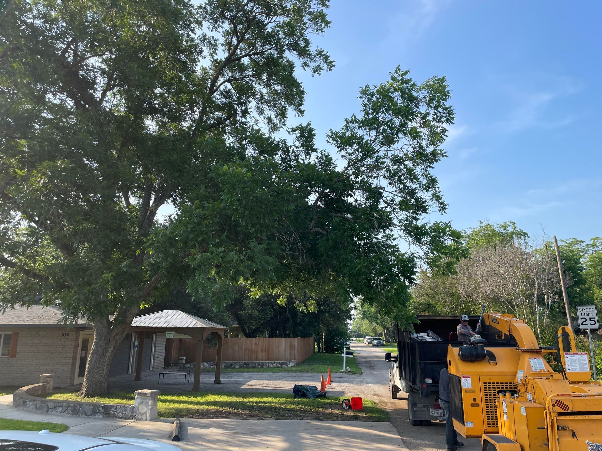 Tree Service