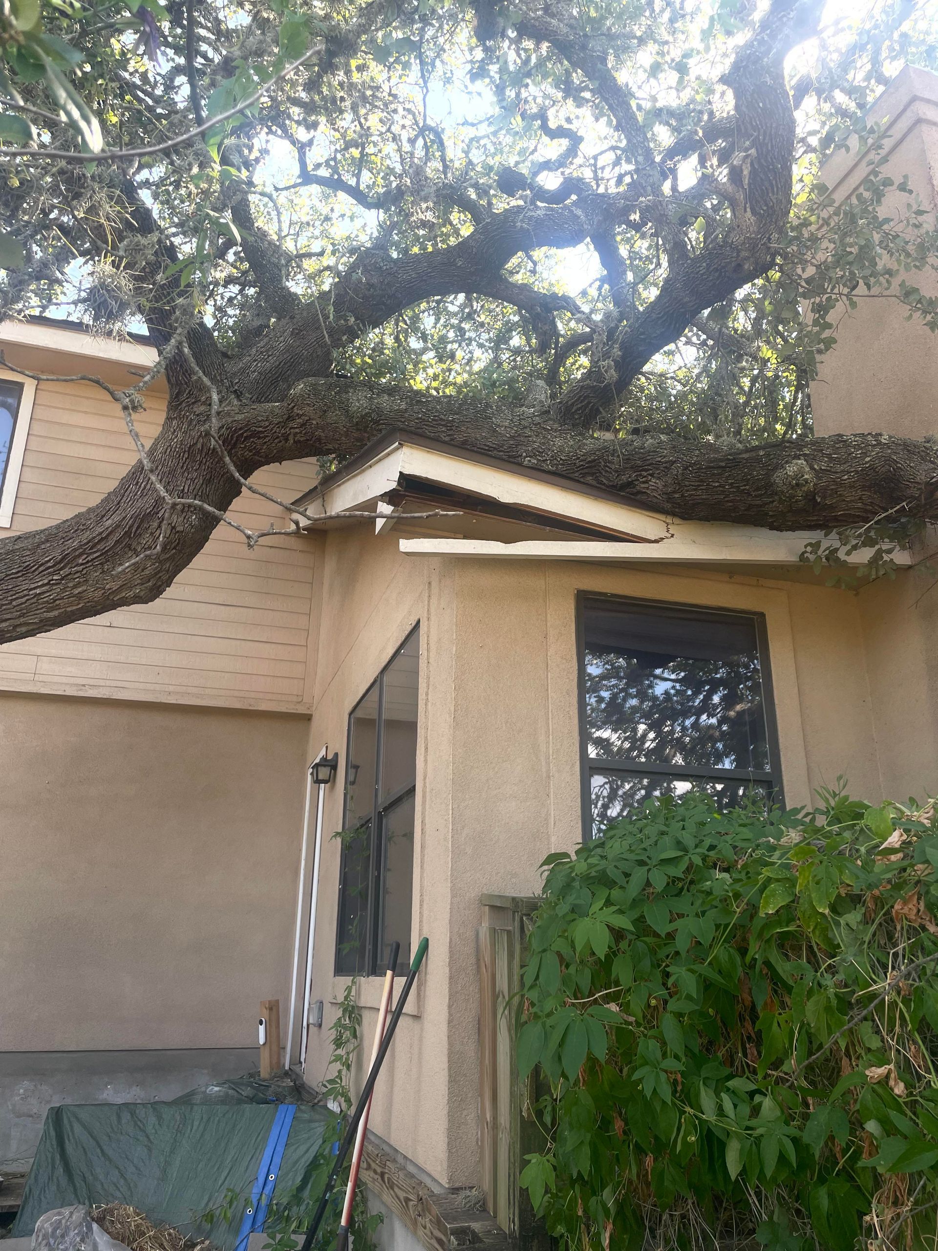 Tree Service