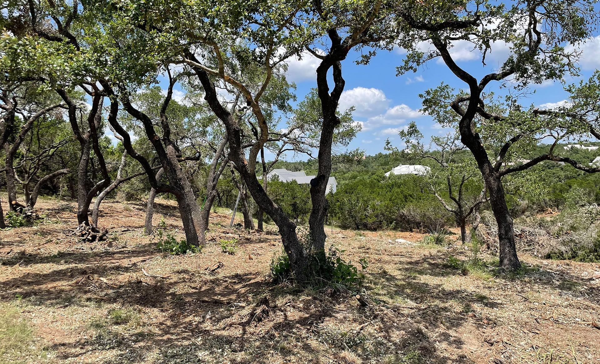 Land Clearing