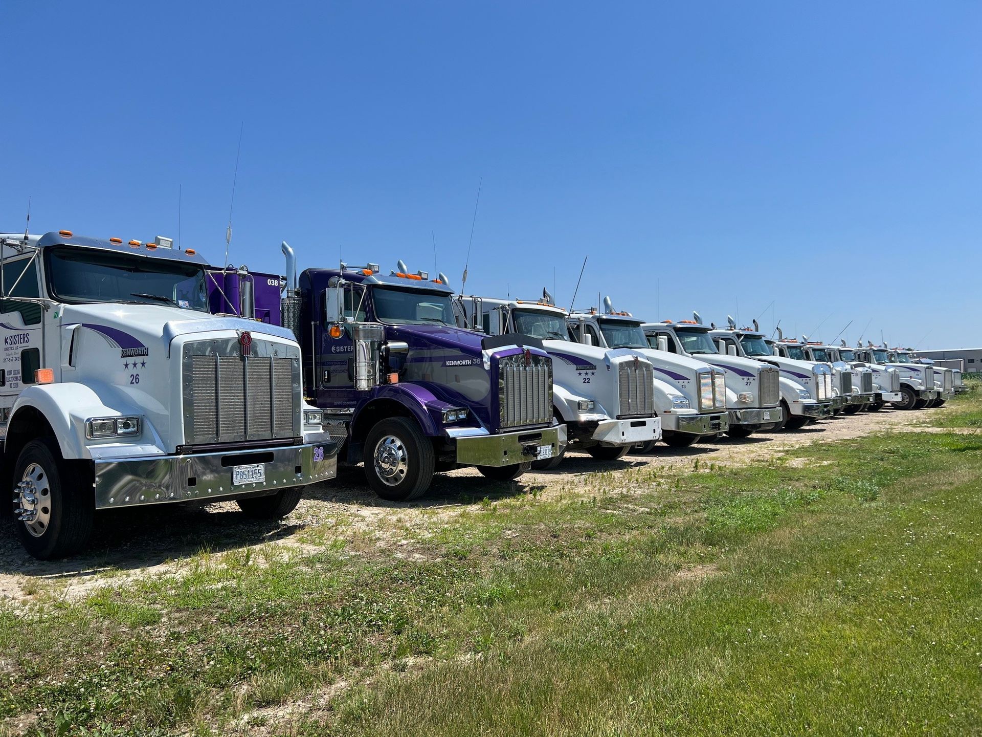 Row of white and purple semi trucks parked on a grassy lot under a clear blue sky