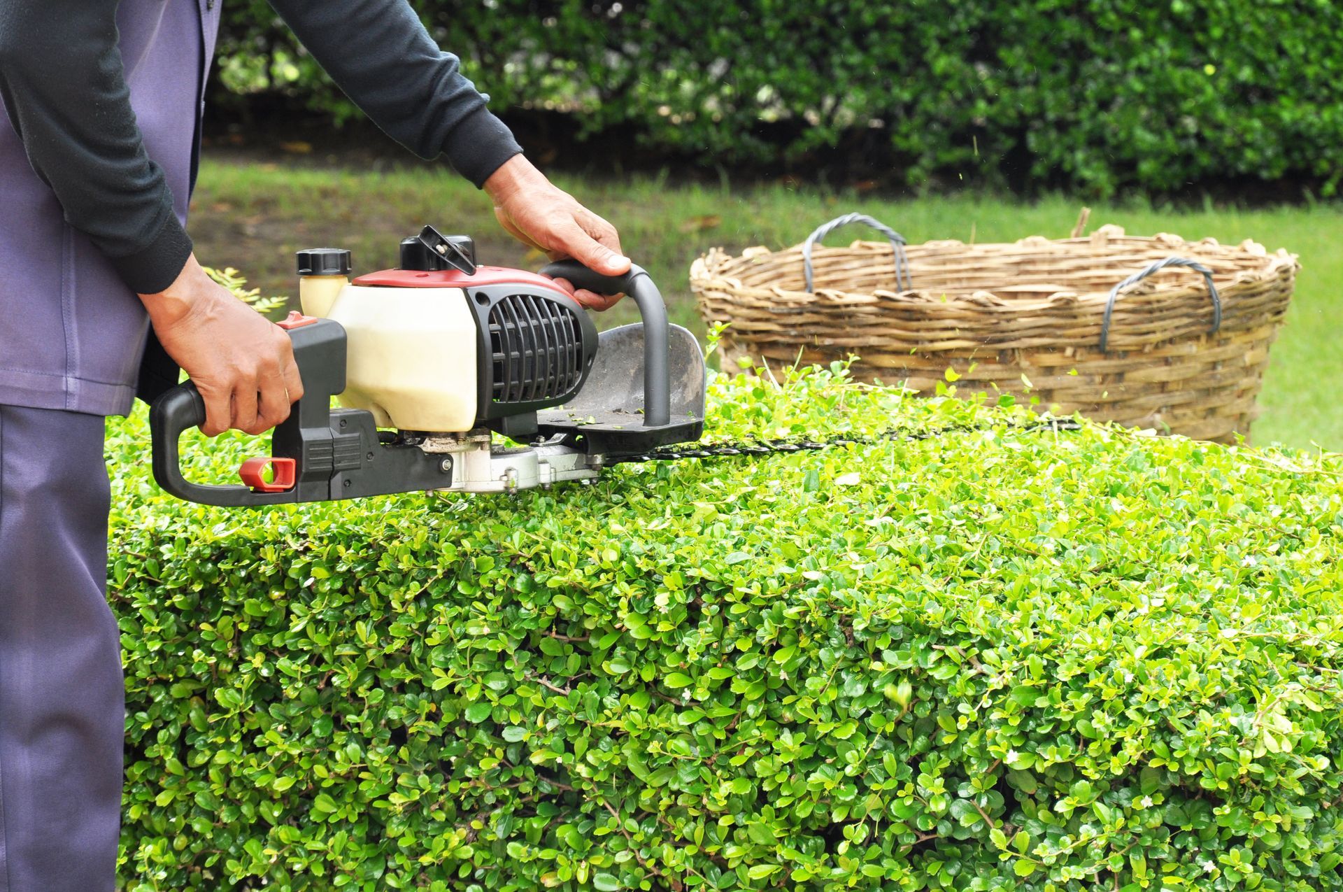landscaping services