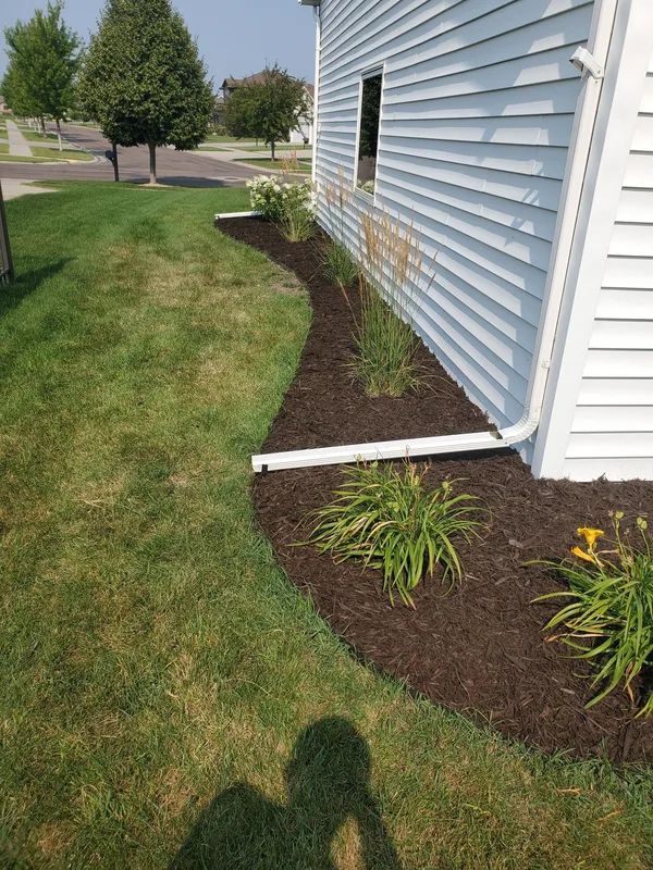 Landscaped flower bed with dark mulch along a white house. Lush green grass surrounds the bed.