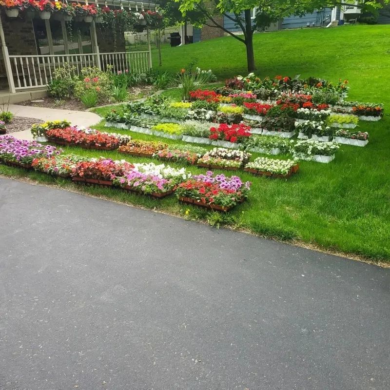 Flower flats of various colors on a green lawn near a driveway.