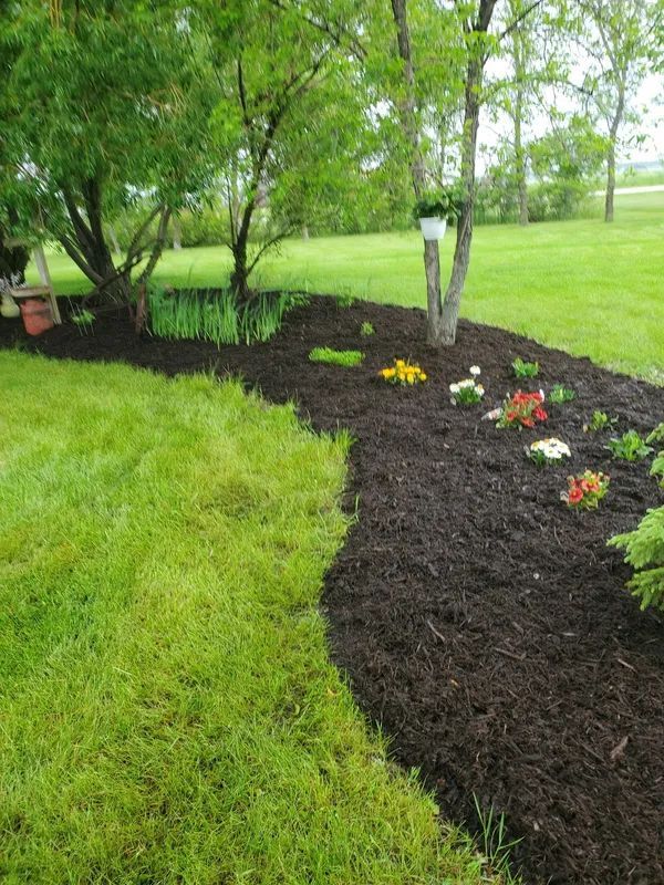 A garden bed filled with dark mulch and colorful flowers, next to green grass and trees.