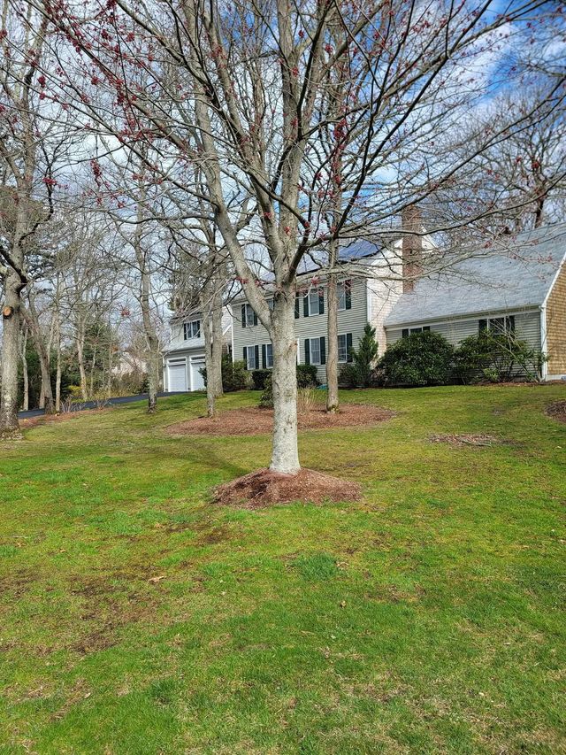 Leafless tree in a grassy yard with a large house and blue sky in the background