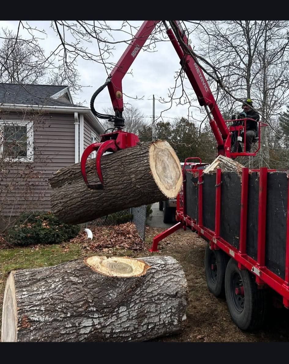 Crane lifting a large tree log into a red dump trailer beside a house with another log on the ground