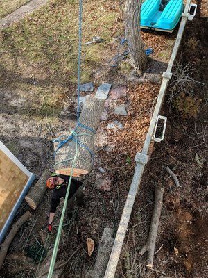 Overhead view of a narrow dirt path with pavers, a fence, and a turquoise cart in a yard.